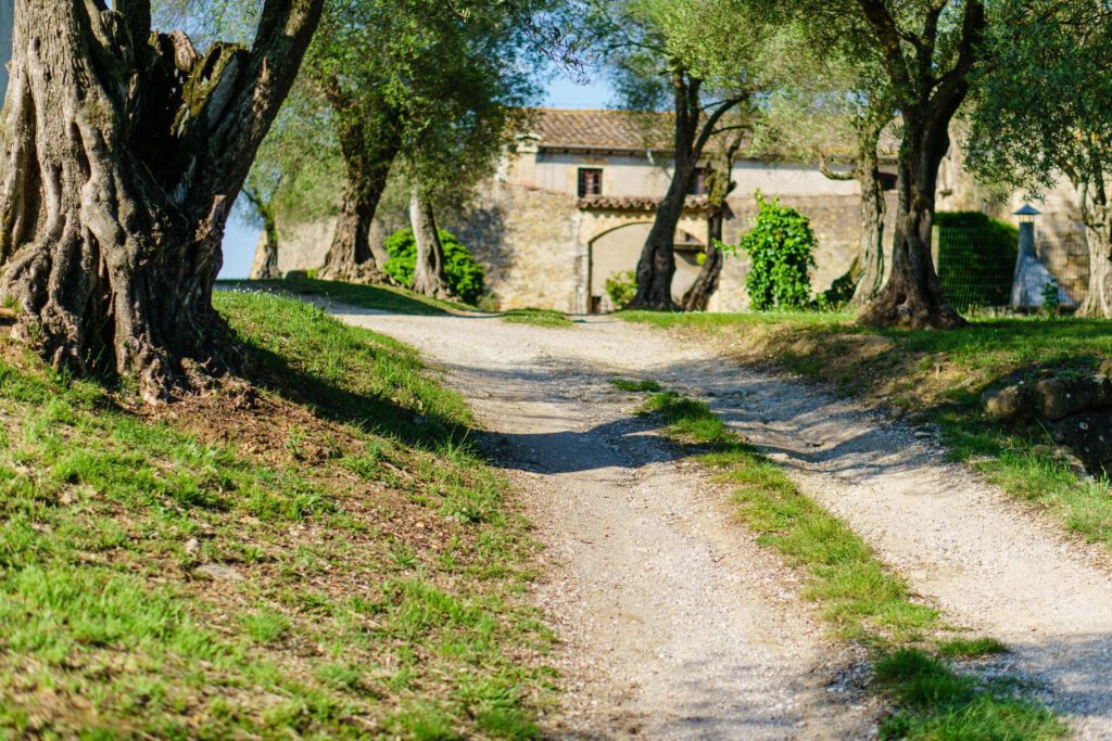 mgasch_XPDTN3GIRONA_190522__DSC9961